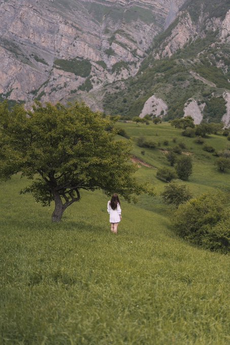A person in a white dress stands alone in a lush green meadow beside a tree, with dramatic rocky mountains rising in the background.