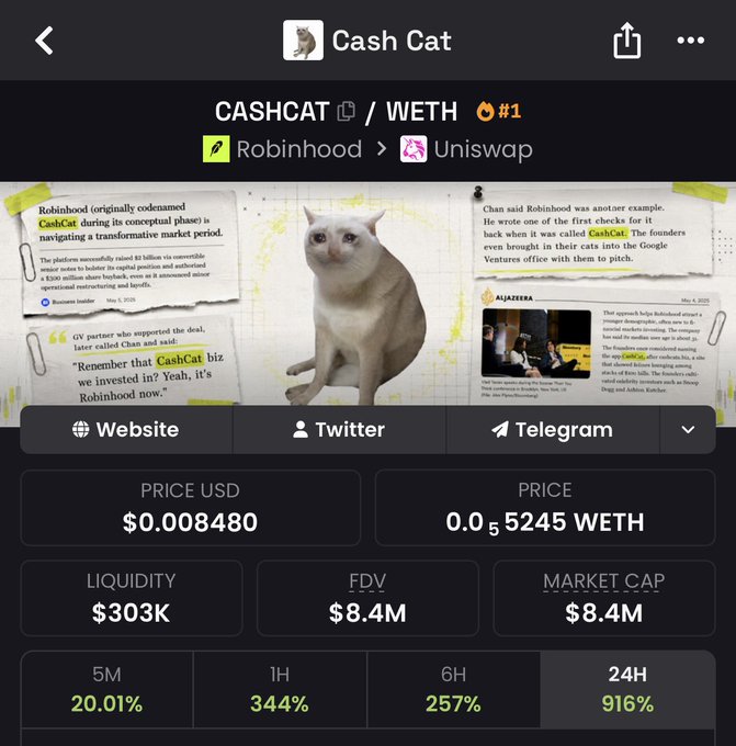 Cash Cat (CASHCAT/WETH) token page on Robinhood/Uniswap showing price of $0.008480, $303K liquidity, $8.4M market cap, and price increases of 916% over 24H.