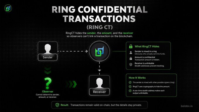 An infographic explaining 'Ring Confidential Transactions (RingCT)' from beldex.io, showing how transaction details remain private between sender and receiver.