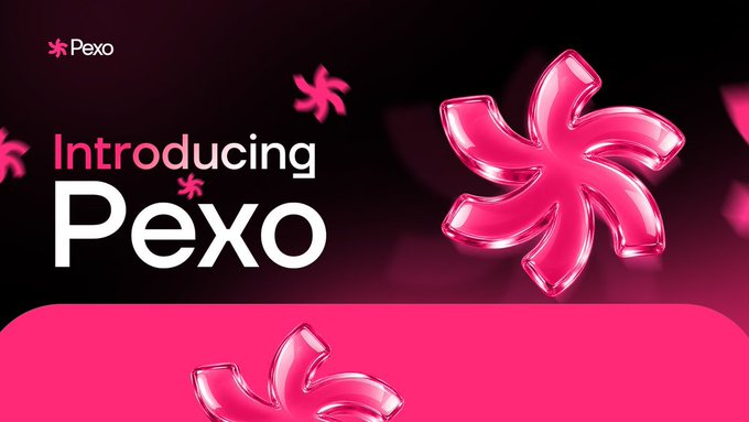 A promotional graphic on a dark background reading "Introducing Pexo" with floating pink 3D pinwheel shapes.