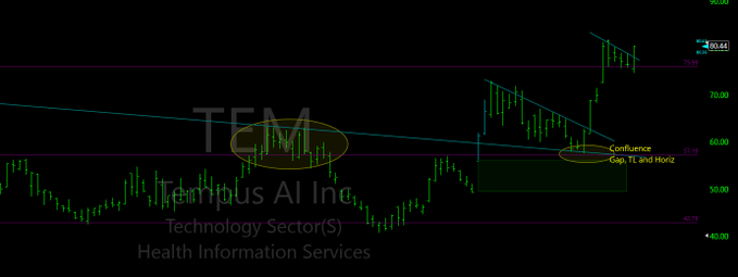 A stock chart for TEM (Tempus AI Inc.) in the Technology Sector/Health Information Services, showing green candlesticks with annotations pointing to a "Confluence Gap, 1T and Horiz" near the $80 level.