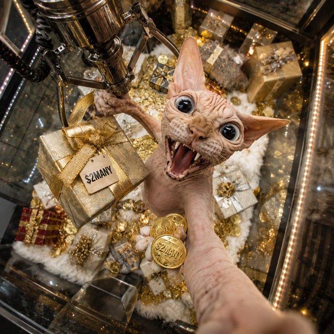 A hairless Sphynx cat with wide eyes and bared teeth reaches out toward the camera, holding a gold gift box labeled 'SZMANY' alongside gold coins marked 'SzMANY' in a glittering, festive setting.