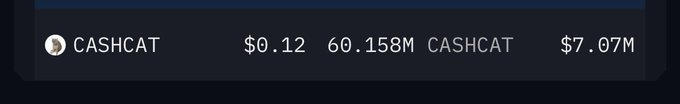 The image shows a trading interface displaying $CASHCAT with a price of $0.12, a 60.158M token supply, and a $7.07M value, illustrating the Robinhood wallet accumulation referenced in the post about holding the token ("Put your cash in the cat and chill").