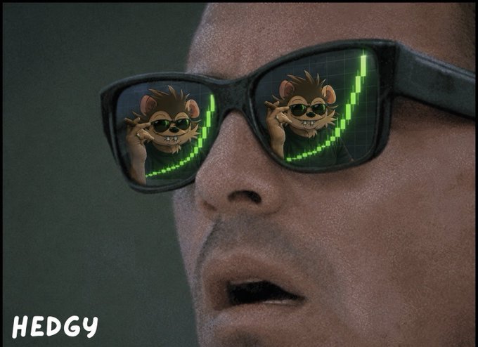 A close-up of a person wearing sunglasses that reflect a cartoon hedgehog making a chart sign with green candlesticks, with 'HEDGY' text in the corner.