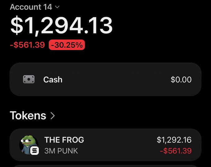A crypto portfolio dashboard for Account 14 showing a total balance of $1,294.13, down $561.39 (-30.25%), with holdings in THE FROG (3M PUNK) valued at $1,292.16.