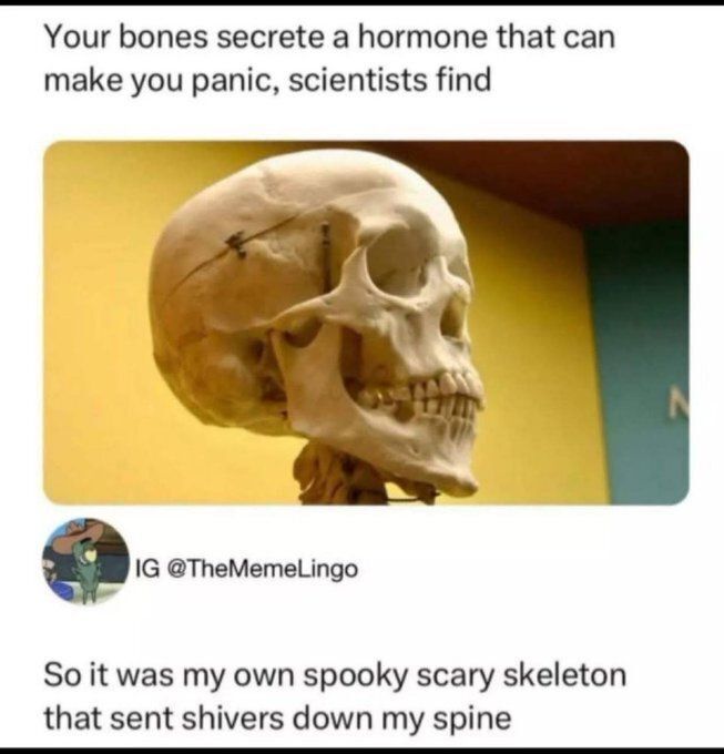 A meme showing a human skull with the headline 'Your bones secrete a hormone that can make you panic, scientists find' and the punchline 'So it was my own spooky scary skeleton that sent shivers down my spine', credited to IG @TheMemeLingo.