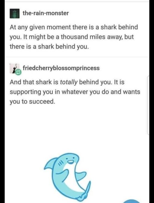 A Tumblr post exchange where user 'the-rain-monster' notes a shark is always behind you, and 'friedcherryblossomprincess' replies encouragingly that the shark supports your success, accompanied by a cartoon shark.