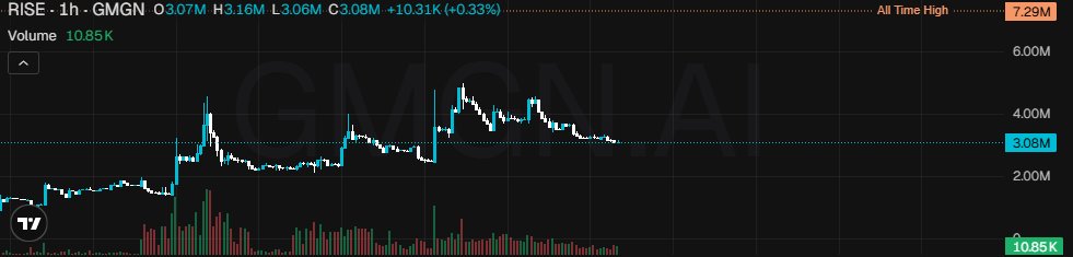 A 1-hour candlestick chart of RISE (RISE) shows a price of 3.07M with an all-time high of 7.29M and 24-hour volume of 10.85K, illustrating the volatile momentum swings typical of network meme coins that rely on strong community leadership to sustain growth. The chart's peaks and pullbacks visually reinforce the post's point that projects maintaining upward trajectories depend heavily on team-driven engagement and execution.