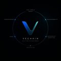 A black screen displays a stylized 'V' logo for 'VeeChain' with surrounding text on a circular design.