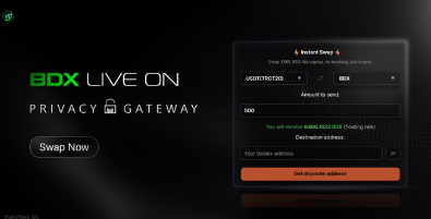 A promotional graphic for 'BDX' privacy gateway featuring the slogan 'BDX LIVE ON PRIVACY GATEWAY' alongside a UI panel for swapping USDT/ETH to BNB with a destination address field.