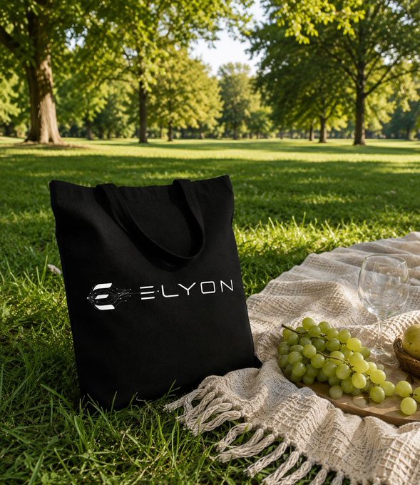 A black tote bag displaying the "ELYON" logo rests on a picnic blanket in a sunlit park, accompanied by fresh green grapes and a wine glass, capturing a leisurely Sunday atmosphere. The scene perfectly complements the post's welcoming message to the Elyon community, blending relaxed weekend vibes with a forward-looking nod to the new week's opportunities.