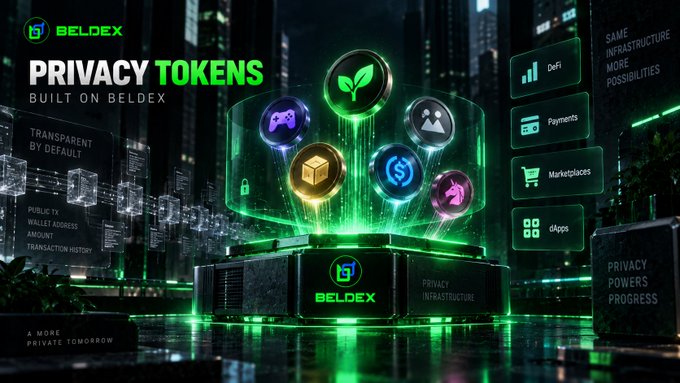 A promotional graphic for Beldex's "Privacy Tokens Built on Beldex" initiative, showcasing icons representing DeFi, Payments, Marketplaces, and dApps, with key features highlighted including "Transparent by Default," "Public TX Wallet Address Amount Transaction History," and "Same Infrastructure More Possibilities," reinforcing the post's message about enabling projects to issue privacy-preserving assets directly on Beldex without needing separate infrastructure.