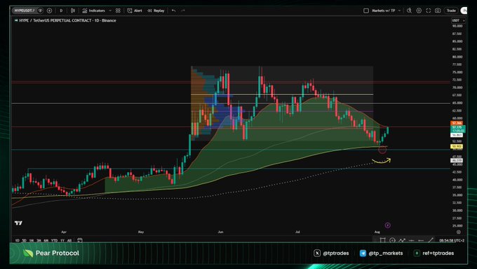 A HYPE/USDT perpetual contract chart on TradingView shows a recent dip into the Volume Area Low (vAL) around $46-47, marking a critical daily pivot point, with a circled annotation highlighting the potential reclaim and squeeze setup toward $70 as referenced in the post. The chart overlays include volume profile ranges, moving averages, and horizontal key levels spanning from ~$27 to $87.