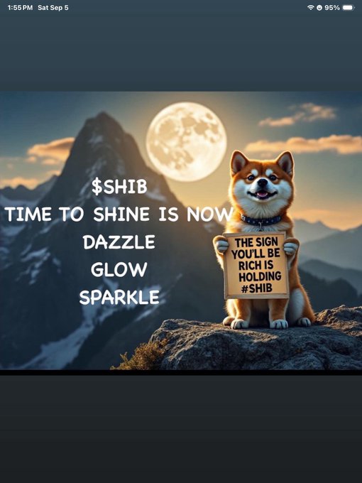 A Shiba Inu dog holding a sign reading 'THE SIGN YOU'LL BE RICH IS HOLDING #SHIB' with text '$SHIB TIME TO SHINE IS NOW DAZZLE GLOW SPARKLE' against a mountain and moon backdrop.