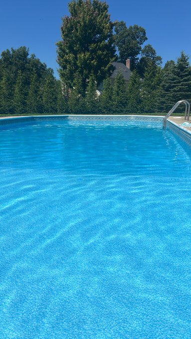 A crystal-clear blue swimming pool basks under a bright sunny sky, framed by lush green trees and a glimpse of a nearby house, perfectly capturing the relaxed summer vibes of "Pool Daze." A metal ladder on the right invites a refreshing dip in the rippling water.