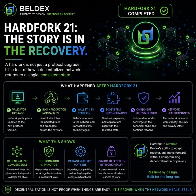 Infographic from Beldex titled 'HARDFORK 21: THE STORY IS IN THE RECOVERY' detailing post-upgrade steps including validator upgrade, block production normalization, wallet stability, and consensus re-establishment, concluding with 'Resilient by design. Built for the long run.'