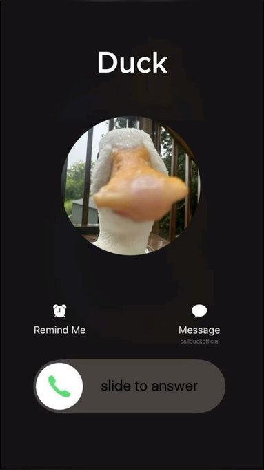 An iPhone incoming call screen displaying the contact name 'Duck' with a profile picture of a white duck with a notably large, smudged orange beak, along with options to 'Remind Me,' 'Message,' and 'slide to answer.'