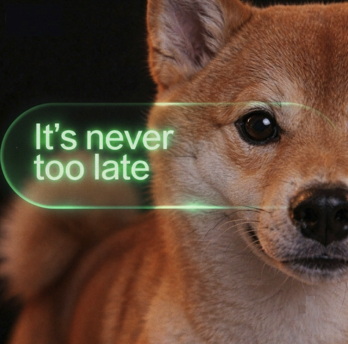 A close-up of a brown Shiba Inu dog's face appears alongside a glowing green speech bubble displaying the text "It's never too late," echoing the message about the enduring opportunities to buy, build, and believe.