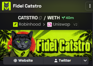 A token page for 'Fidel Catstro' showing CATSTRO/WETH pair with a 40m chart, available on Robinhood and Uniswap v2, featuring a black cat logo on a yellow-green tropical background.