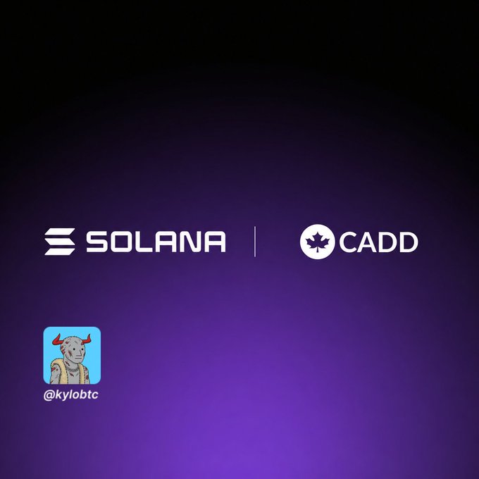 A purple gradient background featuring the Solana logo, a CADD logo with a maple leaf, and a profile picture of a bull-headed character with the handle '@kylobtc'.