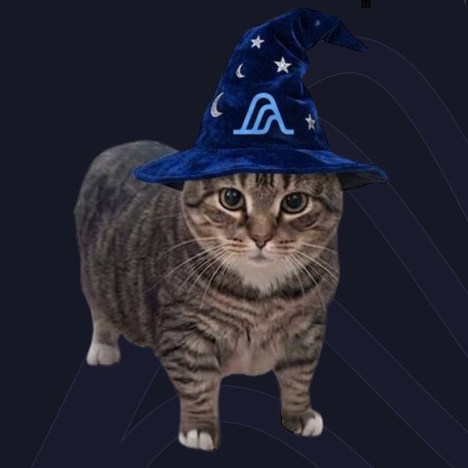 A gray tabby cat wearing a blue velvet wizard hat adorned with stars and a logo, set against a dark blue background.