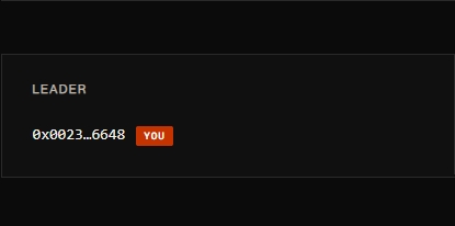 A dark leaderboard screen displaying 'LEADER' above the partially masked address '0x0023...6648' marked with a red 'YOU' tag.