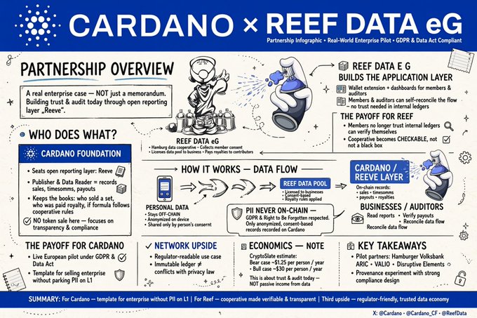 An infographic titled 'CARDANO x REEF DATA eG' detailing a partnership between Cardano Foundation and Reef Data eG, explaining the application layer, payoffs for REEF, and Cardano's role in cooperative trusts and audit trails.