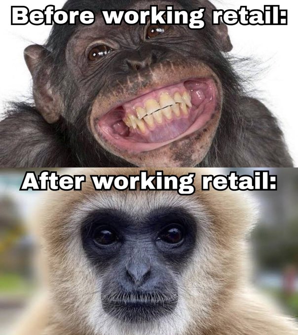 A meme showing two chimpanzee faces: the top labeled 'Before working retail' shows a chimp with a wide, toothy grin, and the bottom labeled 'After working retail' shows a more somber-looking gibbon.