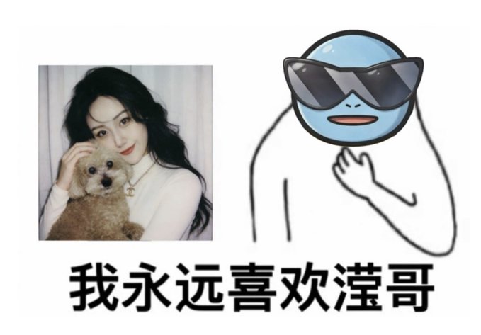 A meme combining a photo of a woman holding a small dog with a cartoon figure wearing sunglasses, captioned in Chinese '我永远喜欢渣哥' (I will always like Brother Zha).