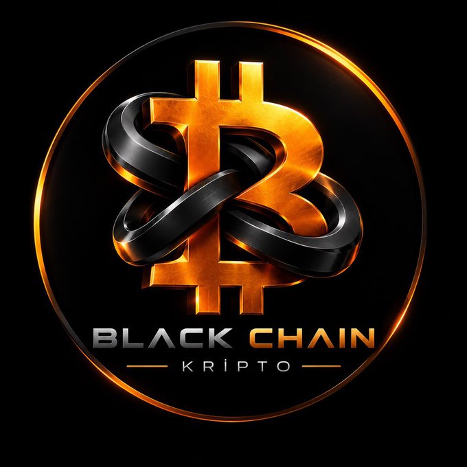 A metallic gold and black 3D logo featuring a Bitcoin-style 'B' intertwined with a dollar sign reads 'BLACK CHAIN KRIPTO' against a black background.