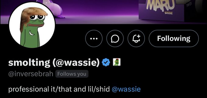 A Twitter/X profile page displays the username 'smolting (@wassie)' with a verified checkmark, a Pepe-style profile picture, and the bio 'professional it/that and lil/shid @wassie.'