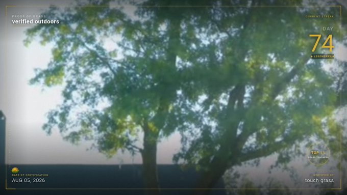 A blurry outdoor view of a tree is overlaid with HUD-style text including "PROOF OF WORK: verified outdoors," "CURRENT STREAK DAY 74: A LEGENDARY," "TOP 1%: reach 100,000ft," "DAILY OBSERVATION AUG 05, 2026," and "CLAIM YOUR REWARD: touch grass."