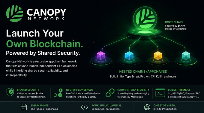 The image features a poster or banner that promotes the Canopy Network's own blockchain called Canopy Network Network (CN). The text on the poster highlights the benefits of using CNN's blockchain, such as its ability to create new Nested Chains by forking lightweight applications and its focus on shared security. The poster also includes a list of features and benefits of CNN's blockchain technology.