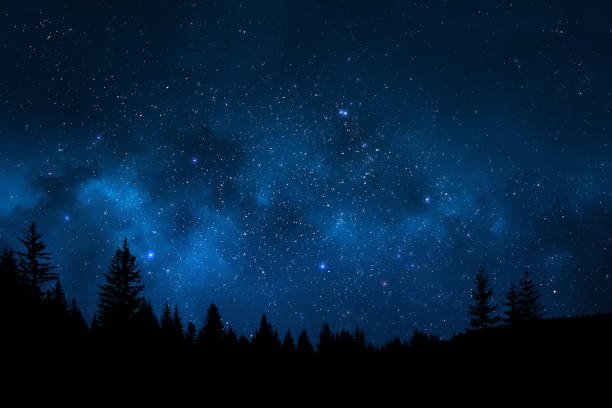 A starry night sky with the Milky Way visible over a silhouetted forest treeline.