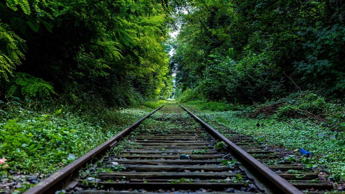 A scenic photograph of overgrown railway tracks stretching into the distance, surrounded by lush green vegetation and forming a natural tunnel of foliage.