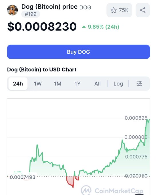 A CoinMarketCap price chart for Dog Bitcoin (DOG) showing its current price at $0.0008230 with a 9.85% gain over 24 hours, reflecting the bullish excitement in the "Let's gooooo $DOG" post.