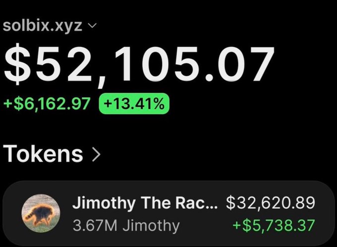 The image shows a portfolio screenshot for solbix.xyz displaying a total value of $52,105.07 with a +$6,162.97 (+13.41%) gain, where $Jimothy (Jimothy The Rac...) is the top holding at $32,620.89 with 3.67M Jimothy tokens showing a +$5,738.37 gain. This directly supports the post's claim of turning a small initial investment into massive profits, as the wallet holding shows significant value appreciation on the $Jimothy token.