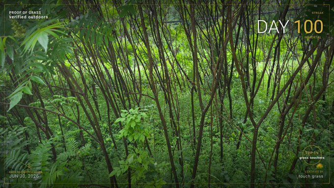 A promotional graphic from Streax celebrating Day 100 of their Proof of Grass campaign, showing a lush forest scene with overlaid text including 'DAY 100', 'STREAX', 'PROOF OF GRASS verified outdoors', 'TOP IN grass touches', 'CERTIFIED BY touch grass', and a date stamp of 'JUN 30, 2026'.