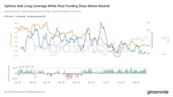 A Glassnode chart titled "Options Add Long Leverage While Perp Funding Stays Below Neutral" tracks BTC price alongside options put/call ratios (OI and volume) from January through September 2026, with the lower panel showing perpetual funding rates mostly hovering near or below the +0.01%/8h neutral line, supporting the post's observation that long leverage is gradually rebuilding in options while perp speculation remains subdued.