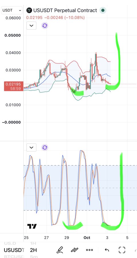 A trading chart for USUSDT Perpetual Contract showing 0.02195 with a -10.08% change and a 2H timeframe, featuring green highlighted price action.