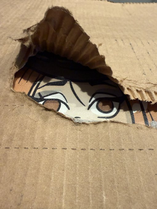 A torn cardboard box reveals a peek at an anime character's eye underneath the packaging.