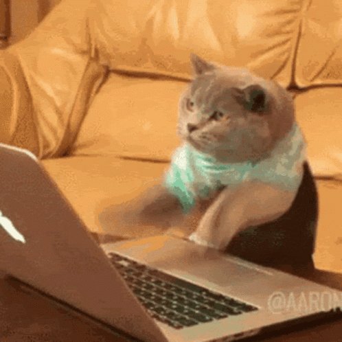 The image shows a cat sitting on top of an open laptop computer, seemingly focused on something inside or outside the frame. The cat's position on the couch next to the laptop creates a sense of curiosity about its interest in the device.
