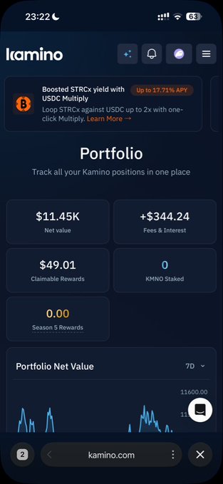 A screenshot of the Kamino cryptocurrency portfolio app showing a net value of $11.45K, fees & interest of +$344.24, and claimable rewards of $49.01.