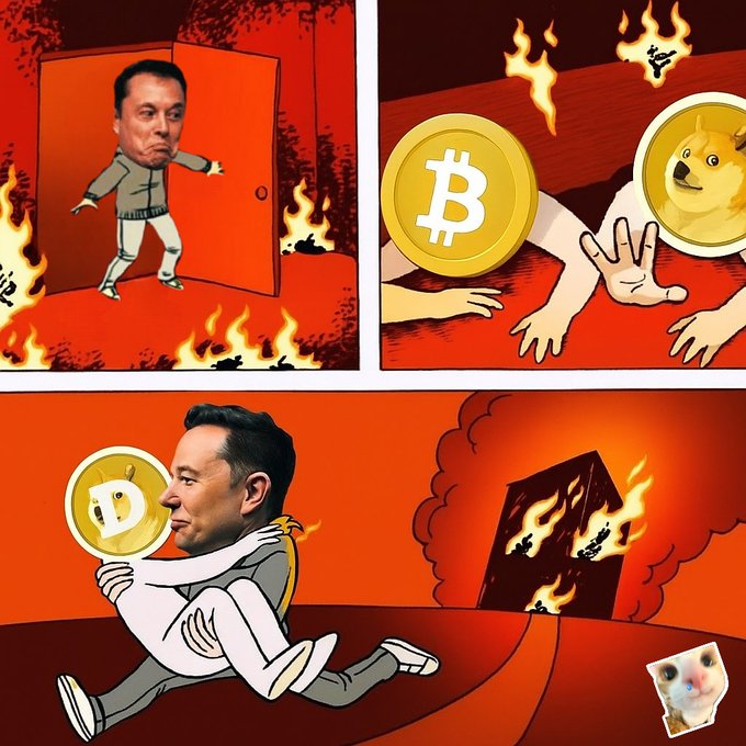 A four-panel meme depicting Elon Musk fleeing from a burning building while Dogecoin and Bitcoin coins pursue him as a cat-faced figure.