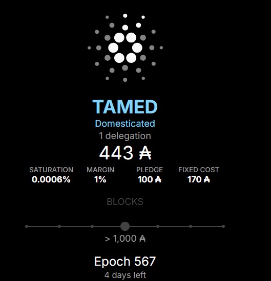 The image displays a Cardano stake pool dashboard for "TAMED" (Domesticated) showing 443 ₳ delegation, 0.0006% saturation, 1% margin, 100 ₳ pledge, 170 ₳ fixed cost, and 1 delegator, with over 1,000 blocks remaining in Epoch 567 (4 days left). The infographic visually represents the newly launched stake pool mentioned in the post, highlighting its early-stage metrics as it seeks delegators to support its mission of funding scholarships for Kenyan students.