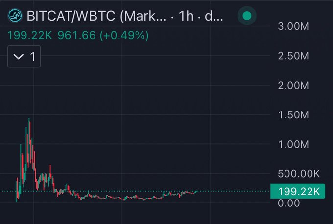 A cryptocurrency price chart for BITCAT/WBTC showing a value of 199.22K with a +0.49% change on a 1-hour daily timeframe.