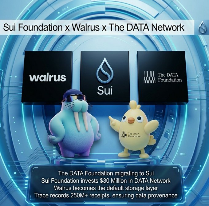 A promotional graphic titled 'Sui Foundation x Walrus x The DATA Network' featuring two cartoon characters (a blue walrus and a yellow chick) with text explaining 'The DATA Foundation migrating to Sui', 'Sui Foundation invests $30 Million in DATA Network', 'Walrus becomes the default storage layer', and 'Trace records 250M+ receipts, ensuring data provenance'.