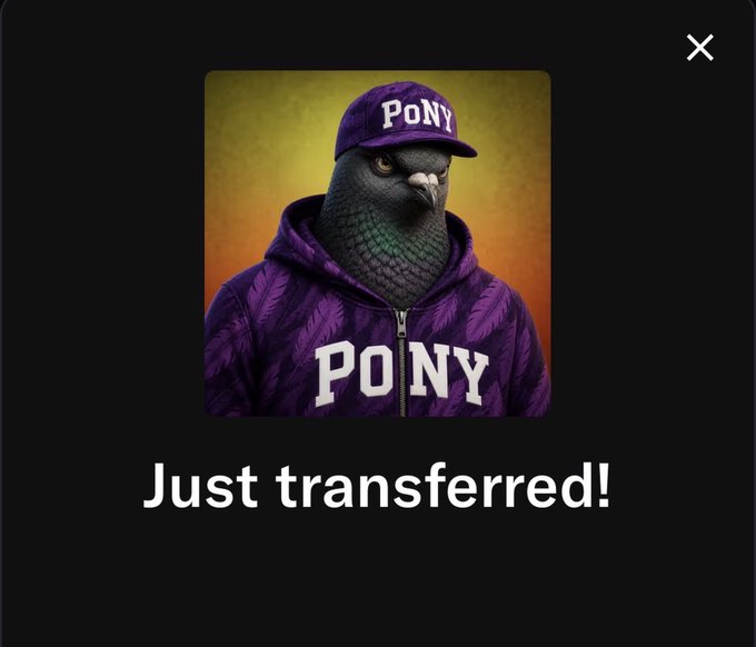 A digital graphic featuring a pigeon wearing a purple hat and hoodie, both displaying the word "PONY," with the caption "Just transferred!"