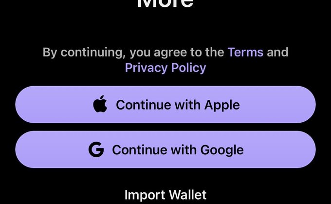 A mobile app login screen offering sign-in options via Apple and Google, with text reading 'By continuing, you agree to the Terms and Privacy Policy' and an 'Import Wallet' option.