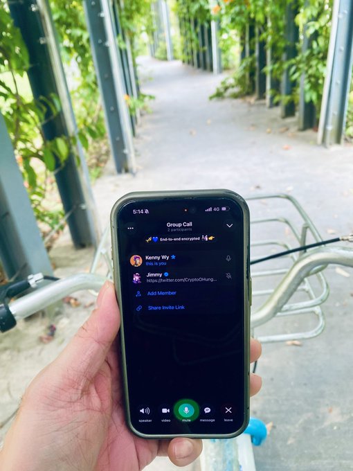 A hand holding a smartphone showing an active WhatsApp 'Group Call' with 2 participants, set against an outdoor background of a walkway lined with trellised plants.